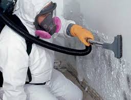 Mold Odor Removal Services in Glencoe, IL